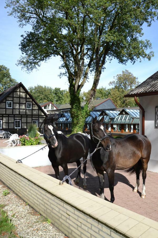 Landhotel Hof Barrl Шневердинген Екстериор снимка